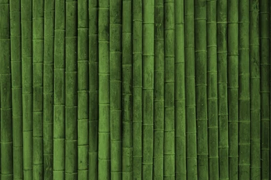 Download Pictures Bamboo Texture Green Style Wallpapers 2560x1600 ...