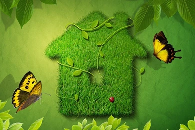Go Green Wallpapers