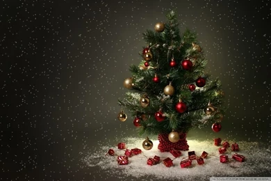 Small Christmas Tree HD Desktop Wallpapers : High Definition ...