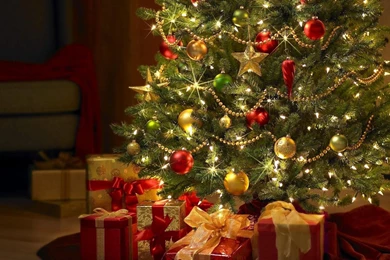 Beautiful Christmas Tree Wallpapers 8.jpg