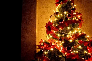 Beautiful Christmas Tree Wallpapers 7.jpg