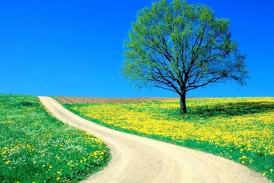 HD Nature Landscape Wallpapers Free Download ~ Wallpapers And ...