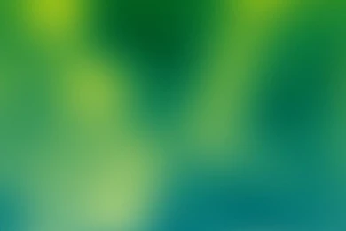 Plain Backgrounds Wallpapers   213373