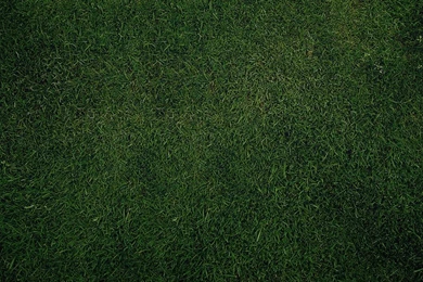 Wallpapers Plain Full Hd Backgrounds Gr Green 1024x768