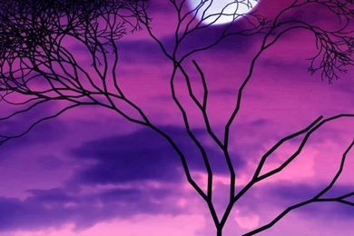 Fantasy iPhone 5s Wallpapers