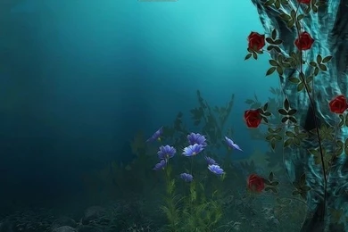 Fantasy Flowers Forest Lamps Nature Night Red Roses River