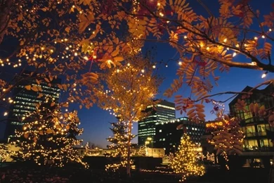 Devdocsof: City Lights Wallpapers