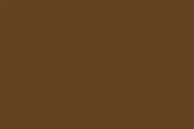 2560x1440 otter brown solid color background.jpg