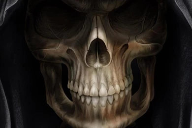 WALLPAPERS FOR IPAD WALF1027