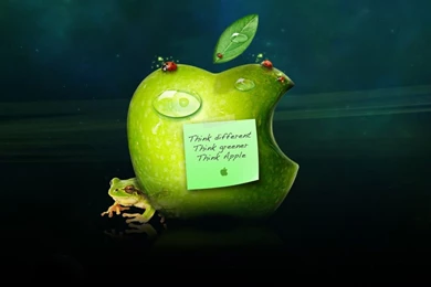 Apple iPad Wallpapers In HD