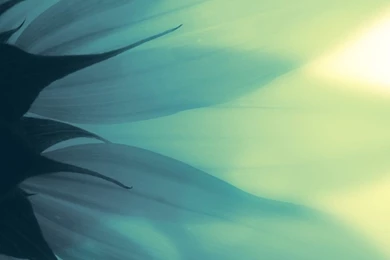 Cool iPad Wallpapers