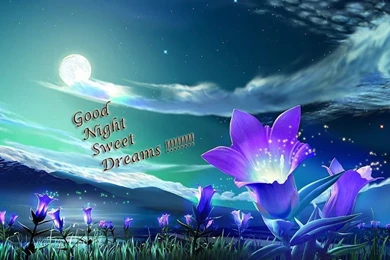 Free Download 17 Beautiful Good Night Wallpapers HD