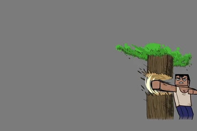 Minecraft Wallpapers 1920x1080   (