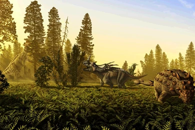 Dinosaur Park Formation   Wikipedia, The Free Encyclopedia
