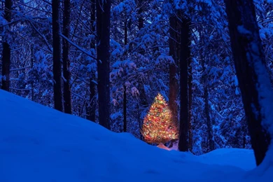 Christmas Wallpapers 1920x1080 2015   Grasscloth Wallpapers