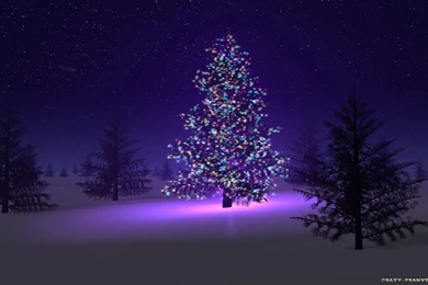 Christmas Night Wallpapers 2015   Grasscloth Wallpapers