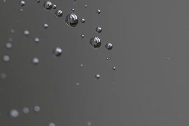 Mobile Wallpapers   Daily Galleries