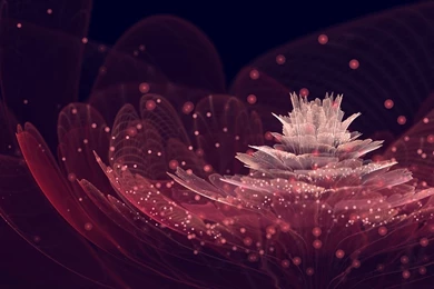 Download Wallpapers 1920x1080 Abstract, Flower, Petals, Dots ...