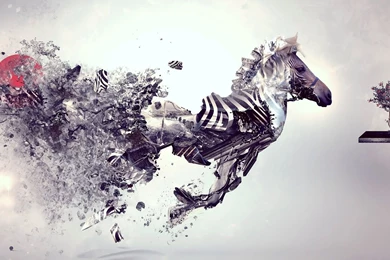 1920x1080 Zebra Abstract Art Wallpapers
