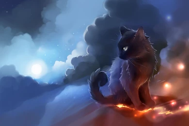 Warrior Cat Wallpapers