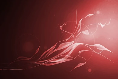 Red Wallpapers