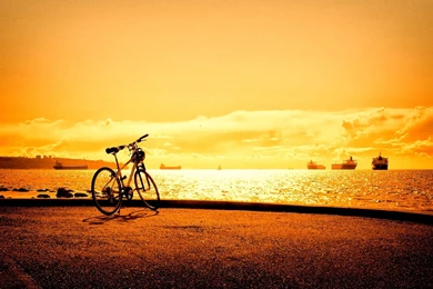 Photography   Page 341