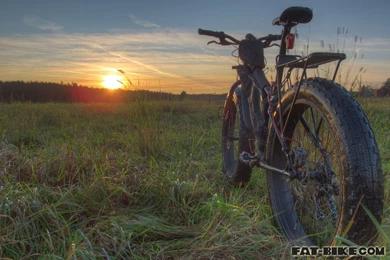 Fat Bike Wallpapers Gallery