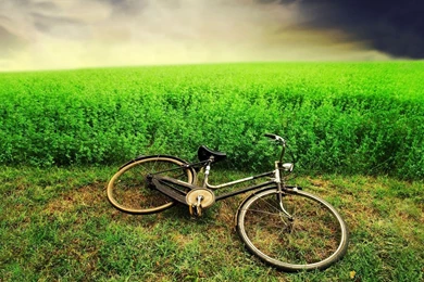 Free Download High Definition Wallpapers For Desktop And Gadgets ...