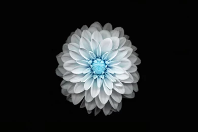 iPad Retina Wallpapers HD   Retina Ready, Stunning Wallpapers