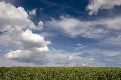 Blue Sky Backgrounds Wallpapers   Invitation Templates