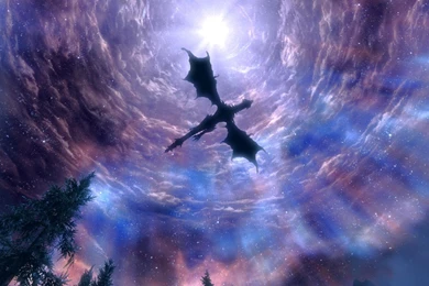 Skyrim Dragon HD Wallpapers