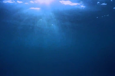 Underwater Windows 7 Backgrounds (Dreamscene)   YouTube