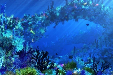 Real Underwater Ocean Backgrounds