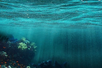 DeviantArt: More Like Premade Backgrounds 25 UNDERWATER By FrostBo