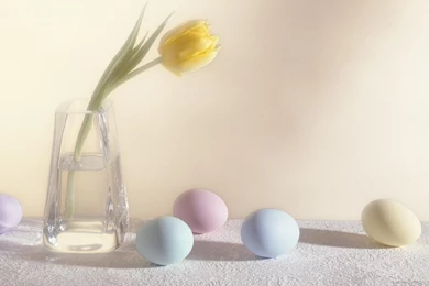 Download 1366x768 Soft Still life Scene Wallpapers