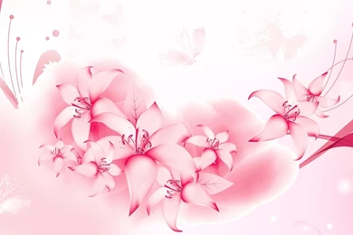 SO SOFT PINK WALLPAPER   (