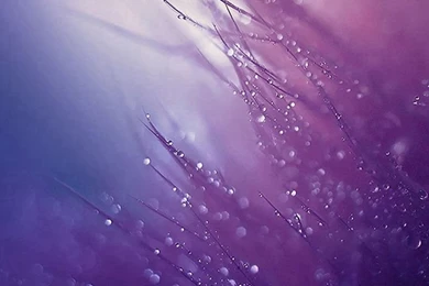 Soft iPhone 5s Wallpapers