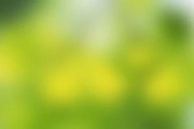 Soft Green Mac Wallpapers Download