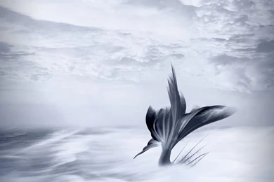 Free Illustration: Background, Fantasy, Fairy Tale   Free Image On ...