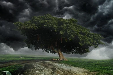 The Coming Storm Premade Backgrounds By Eveningstars242 On DeviantArt