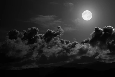 40 Amazing HD Black WallpapersBackgrounds For Free Download