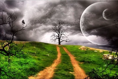 Sky, Night, Landscapes, Background, Welshdragon (