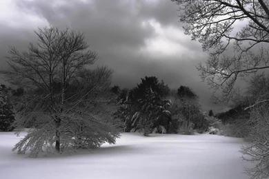 Winter Night HD Wallpaper, Winter Night Images, New Wallpapers