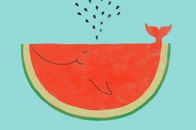 Watermelon Whale Wallpapers