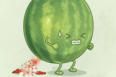 Free Funny Watermelon Desktop Wallpapers 2560960