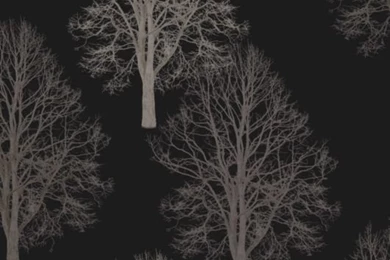 Alexandra Lange: Sherlock's Wallpapers