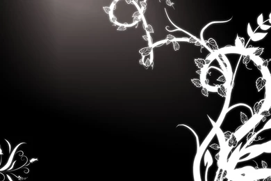 Black And White Abstract, Floral, Art, 1920x1080 HD Wallpapers And ...
