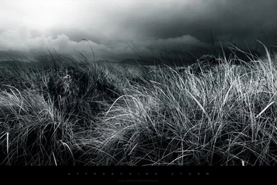 Black And White, Nature, Photography, Abstract, 1920x1080 HD ...