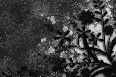 Black And White Abstract Wallpapers 255417