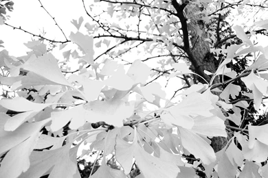 Black Wallpapers Abstract   Wallpaper.